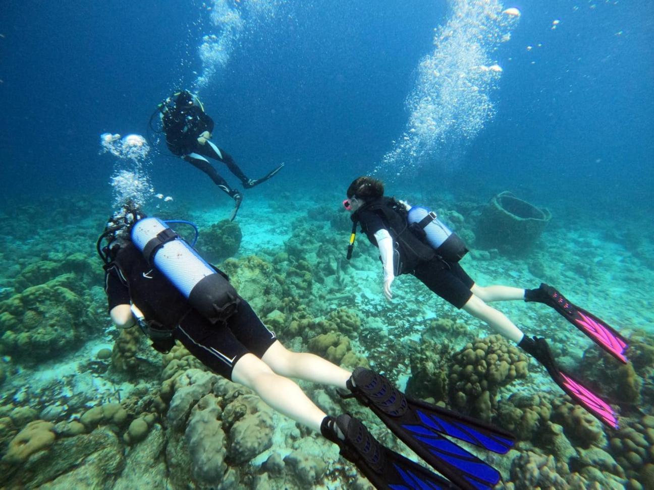 Tropical Divers Resort Playa Esterno foto
