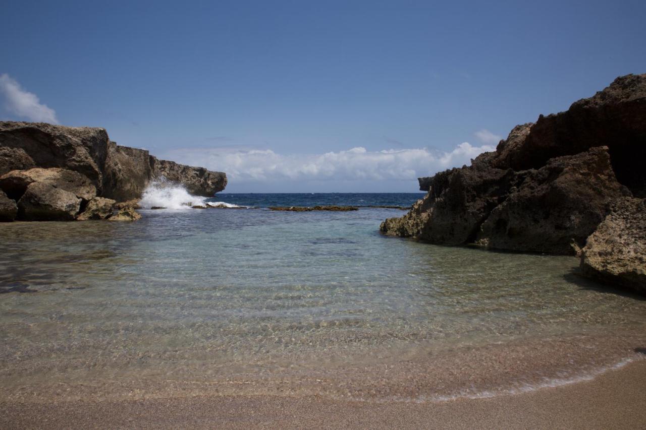 Tropical Divers Resort Playa Esterno foto